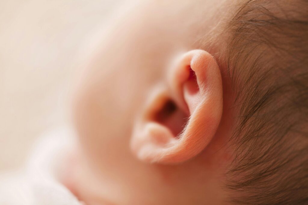 What is the Study of Ear Called?